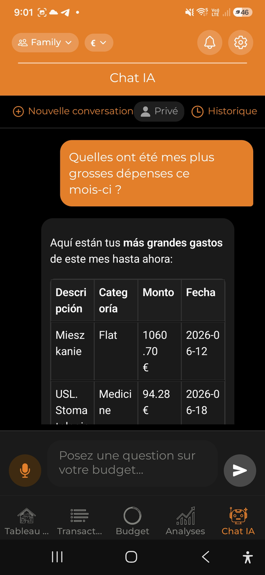 Assistant IA - AI Budget Assistant