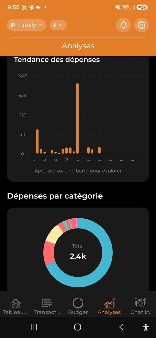 Analyses des dépenses - AI Budget Assistant
