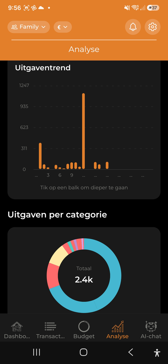 Uitgaven-analyses - AI Budget Assistant